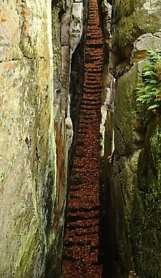 포토 JPG 해외이미지 식물 공원 도로 길 벽 백그라운드 건축양식 자연 산 풍경 사람없음 초록색 평화 계단 환경 정원 산책 수확 바위 시골 역사 숲 오솔길 방향 심볼 단계 내추럴 옛날 해외202004 해외포토 공공시설 건축 컬러 컨셉 농업 교통시설 휴식 돌_바위 생태계 파일형식 이미지허브