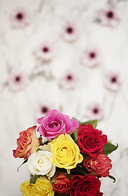 포토 JPG 해외이미지 식물 라이프스타일 여자 꽃잎 꽃 분홍색 꽃다발 결혼 백그라운드 컨셉 잎 꽃무늬 패턴 탁자 프레임 건강 사랑 사람없음 빨간색 여름 빛 컬러풀 장미 노란색 유행 봄 흰색 신선 플랫 정상 주식 허브 책상 대리석 위치 내추럴 구성 블로거 방식 해외202004 해외포토 계절 감정 컬러 가구 무늬 재료 사람 이벤트 생활 금융 파일형식 이미지허브