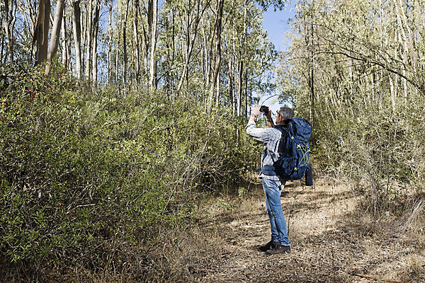 포토 JPG 해외이미지 나무 식물 1 라이프스타일 응시 계절 공원 노년 남자 스포츠 여행 배낭 자국 자연 수염 건강 한명 서기 풍경 성인 취미 야외 목재 여름 여행객 카메라 산책 하이킹 시골 숲 은퇴 사진사 장면 루트 옛날 오리엔테이션 하이커 해외202004 해외포토 시선 공공시설 가방 재료 모션 레저 휴식 사람 생활 전자제품 작가 생태계 파일형식 이미지허브