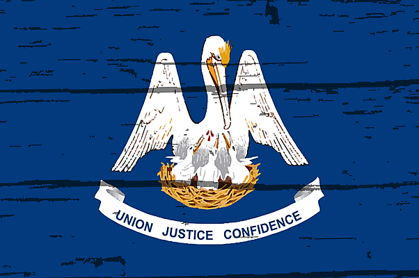 포토 JPG 해외이미지 백그라운드 미술 사람없음 목재 그런지 수목 전국 해외202004 해외포토 나무 재료 문화예술 파일형식 이미지허브