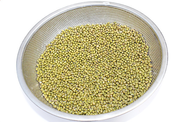 포토 JPG 해외이미지 식물 음식 콩 건조 건강 사람없음 초록색 쌓기 새싹 흰색 그룹 수집 먹기 흰배경 날것 성분 흙더미 고립 생식 많음 해외202004 해외포토 컬러 백그라운드 컨셉 모션 곡류 흙 파일형식 더미 이미지허브