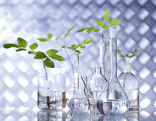 포토 JPG 해외이미지 식물 실내 실험 사람없음 아웃포커스 액체 화학 실험실 플라스크 비커 유리관 화학실험 해외202004 해외포토 과학 촬영기법 실험기구 내부 파일형식 이미지허브