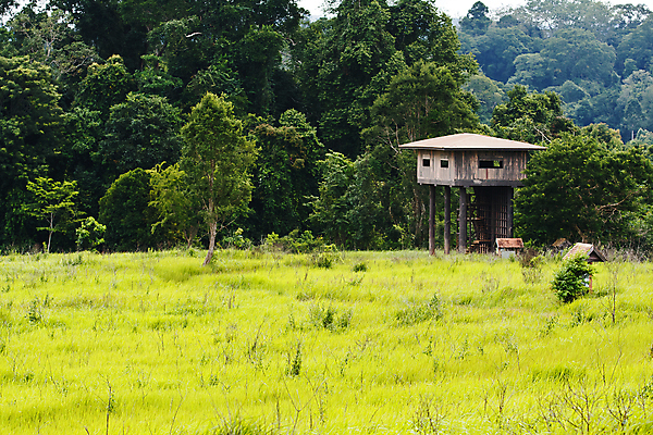 포토 JPG 해외이미지 나무 동물 밭 의자 사다리 태국 자연 하늘 날씨 사슴 서기 풍경 사람없음 야외 목재 초록색 여름 파란색 상자 갈색 탑 봄 관찰 황무지 숲 큼 발사 땅 오브젝트 싱글 사냥 각도 장면 지역 사냥꾼 숨김 넘어짐 해외202004 해외포토 식물 직업 건축물 계절 아시아 컬러 가구 컨셉 농업 재료 포유류 모션 도구 크기 생태계 파일형식 이미지허브