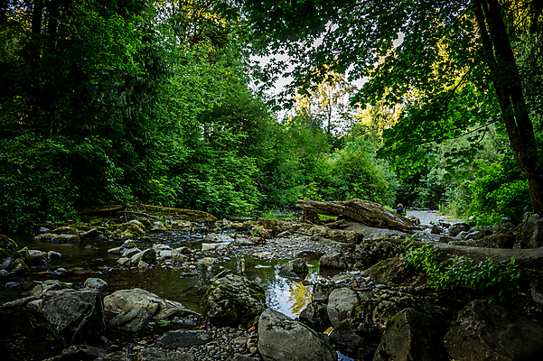 포토 JPG 해외이미지 나무 식물 공원 여행 백그라운드 잎 자연 풍경 사람없음 야외 목재 초록색 빛 햇빛 반사 환경 정원 하이킹 성장 나뭇가지 신선 개울 숲 큼 열대우림 상록수 웅장함 해외202004 해외포토 공공시설 컬러 재료 레저 강 태양 크기 생태계 파일형식 이미지허브
