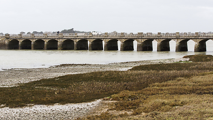 포토 JPG 해외이미지 구름 물결 모래 파도 바다 여행 자연 조류 하늘 휴가 풍경 사람없음 야외 물 여름 여행객 봄 프랑스 서핑 북쪽 종료 노르망디 단절 서쪽 소금물 해외202004 해외포토 자연요소 동물 계절 유럽 사람 수상스포츠 방향 생태계 파일형식 이미지허브
