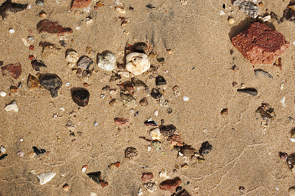 포토 JPG 해외이미지 전통 디자인 아시아 종이 모래 벽 백그라운드 잎 패턴 건축양식 부분 자연 표면 추상 바닥 건조 실내 사람없음 야외 건물 장식 정원 침묵 바위 거친 땅 명상 질감 대리석 점토 동쪽 엘리먼트 지속성 지질학 효과 해외202004 해외포토 식물 건축물 교육 건축 나라 무늬 재료 내부 소리 돌_바위 방향 생태계 파일형식 이미지허브
