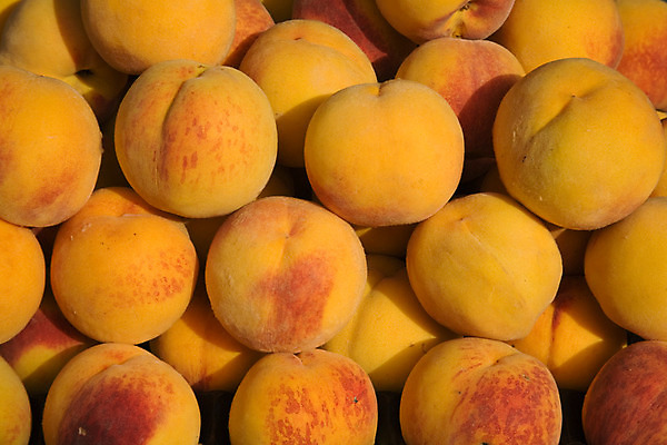 포토 JPG 해외이미지 음식 백그라운드 농업 다이어트 오렌지 과일 디저트 건강 사람없음 노란색 신선 그룹 시장 달콤 유기농 질감 날것 복숭아 성분 내추럴 해외202004 해외포토 웰빙 산업 컬러 맛 파일형식 이미지허브