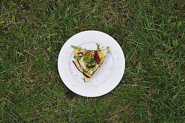 포토 JPG 해외이미지 음식 백그라운드 과일 피자 샌드위치 건강 잔디 사람없음 초록색 여름 소풍 식사 봄 장비 흰색 신선 먹기 해외202004 해외포토 식물 계절 컬러 모션 패스트푸드 서양음식 야외활동 파일형식 이미지허브