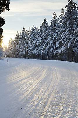 포토 JPG 해외이미지 나무 도로 겨울 곡선 핀란드 사람없음 햇빛 추위 숲 만취 북극 스칸디나비아 눈내림 해외202004 해외포토 식물 계절 길 선 교통시설 눈_날씨 북유럽 태양 극지방 술취함 파일형식 이미지허브