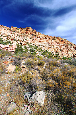 포토 JPG 해외이미지 식물 구름 여행 자연 날씨 산 건조 풍경 사람없음 야외 빨간색 환경 골짜기 미국 사막 성장 황무지 보호 빨래 먼지 장면 지형 지역 서식지 자원 내추럴 라스베가스 생태학 울퉁불퉁 전국 절정 부족함 해외202004 해외포토 자연요소 교육 컬러 컨셉 가사 북아메리카 생태계 파일형식 이미지허브