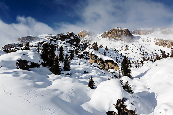 포토 JPG 해외이미지 나무 유럽 스포츠 여행 겨울 자국 자연 하늘 휴가 스키 산 그림자 풍경 사람없음 야외 파란색 노란색 계곡 얼음 이탈리아 절벽 추위 안개 신선 스노우보드 정상 가루 휴양지 알프스 선로 절정 해외202004 해외포토 자연요소 식물 계절 나라 컬러 날씨 겨울스포츠 장소 보드_스포츠 생태계 파일형식 이미지허브