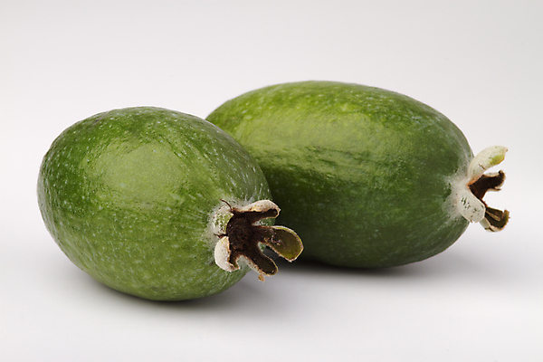 포토 JPG 해외이미지 음식 과일 부분 자연 건강 사람없음 초록색 달콤 가득함 오브젝트 유기농 날것 고립 해외202004 해외포토 웰빙 컬러 맛 생태계 파일형식 이미지허브