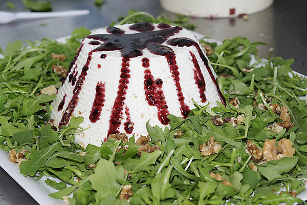 포토 JPG 해외이미지 전통 음식 백그라운드 다이어트 재료 공장 치즈 건강 사람없음 목재 식사 이탈리아 우유 흰색 시골 신선 상품 크림 부드러움 노력 고립 해외202004 해외포토 나무 유럽 컬러 공업 유제품 감각 파일형식 이미지허브