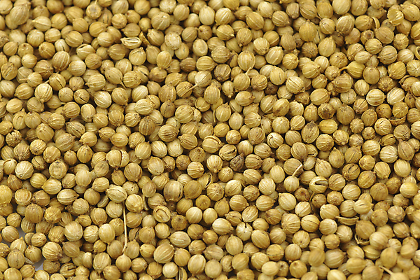 포토 JPG 해외이미지 음식 백그라운드 재료 건조 씨앗 사람없음 가로 갈색 노란색 신선 조미료 고수 닫기 맛 낟알 오브젝트 날것 아로마 향료 향 고립 해외202004 해외포토 식물 컬러 컨셉 모션 향신료 향기 냄새 향미료 파일형식 이미지허브