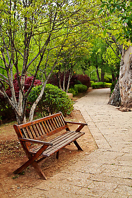 포토 JPG 해외이미지 나무 식물 계절 공원 도로 길 줄기 백그라운드 잎 벤치 의자 자연 휴식 풍경 사람없음 야외 목재 초록색 평화 맑음 산책 가을 보행로 고독 숲 오솔길 장면 해외202004 해외포토 공공시설 감정 컬러 가구 컨셉 재료 교통시설 날씨 생태계 파일형식 이미지허브