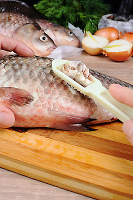 포토 JPG 해외이미지 음식 다이어트 재료 어류 요리 사람없음 식사 신선 구매 자르기 해산물 날것 잉어 당뇨병 민물 배급 해외202004 해외포토 모션 건강 쇼핑 수중동물 질병 파일형식 이미지허브