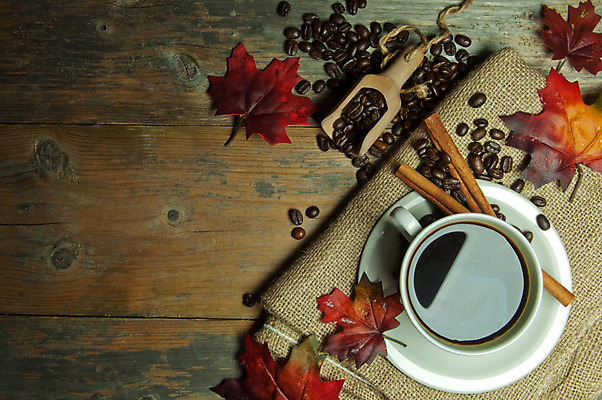 포토 JPG 해외이미지 계절 커피 음료 백그라운드 잎 겨울 탁자 콩 안테나 사람없음 목재 컵 우주 검은색 거품 머그컵 가을 시골 판넬 뜨거움 막대기 아침식사 자루 에스프레소 그런지 시나몬 옛날 카피스페이스 해외202004 해외포토 나무 식물 식기 컬러 가구 재료 통신 곡류 식사 공백 파일형식 이미지허브