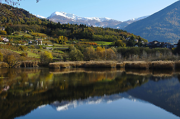 포토 JPG 해외이미지 나무 계절 호수 밭 오렌지 자연 풍경 사람없음 야외 빨간색 초록색 물 컬러풀 반사 갈색 노란색 평화 환경 침묵 가을 시골 연못 언덕 내추럴 절정 해외202004 해외포토 자연요소 식물 컬러 컨셉 농업 과일 소리 생태계 파일형식 이미지허브