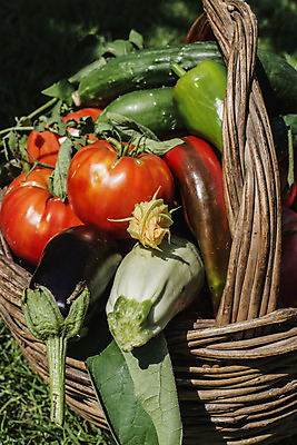 포토 JPG 해외이미지 음식 백그라운드 잎 농업 다이어트 토마토 채소 자연 탁자 양파 오이 건강 요리 사람없음 목재 빨간색 초록색 여름 농장 바구니 샐러드 수확 가을 신선 시장 유기농 날것 후추 내추럴 채식주의자 해외202004 해외포토 나무 식물 웰빙 계절 산업 컬러 가구 재료 향신료 생태계 채식 파일형식 이미지허브