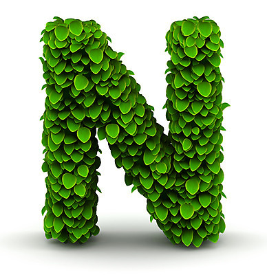 포토 JPG 해외이미지 나무 식물 디자인 알파벳 컨셉 잎 일러스트 자연 건강 사람없음 초록색 숫자 3D 환경 성장 신선 보호 수집 허브 생태계 질감 타입 내추럴 생태학 레터링 해외202004 해외일러스트 문자 영어 교육 컬러 디지털합성 파일형식 이미지허브