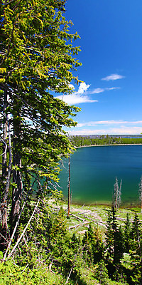 포토 JPG 해외이미지 공원 호수 여행 자연 하늘 산 오리 풍경 사람없음 야외 물 파란색 환경 미국 연못 소나무 황무지 티켓 숲 언덕 장면 대야 침엽수 서식지 내추럴 삼림지대 생태학 와이오밍 전국 해외202004 해외포토 자연요소 나무 공공시설 교육 컬러 북아메리카 조류 생태계 파일형식 이미지허브