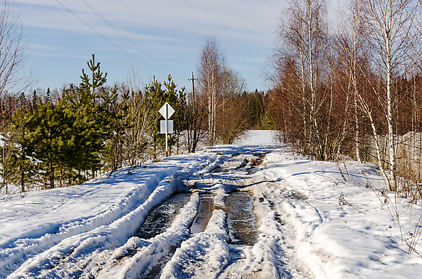 포토 JPG 해외이미지 나무 식물 계절 공원 잎 자연 하늘 풍경 사람없음 초록색 빛 햇빛 태양 환경 봄 광선 흰색 나뭇가지 소나무 숲 장면 내추럴 회복 해외202004 해외포토 자연요소 공공시설 컬러 컨셉 생태계 파일형식 이미지허브