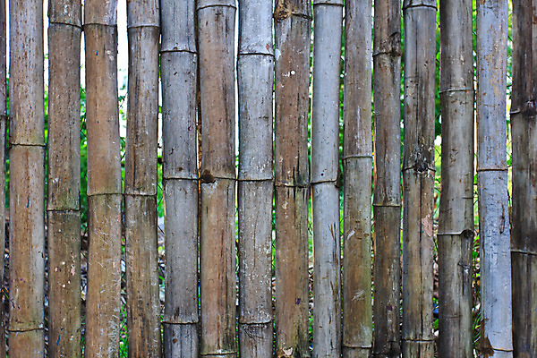 포토 JPG 해외이미지 산업 아시아 벽 백그라운드 태국 자연 사람없음 야외 건물 목재 가로 노란색 힘 못 거친 오두막 대나무 질감 심플 자연백그라운드 울퉁불퉁 해외202004 해외포토 나무 건축물 나라 컬러 재료 공구 생태계 파일형식 이미지허브