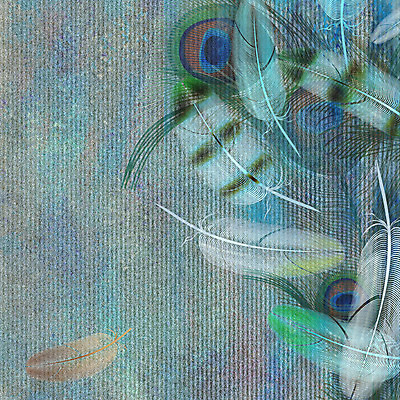 포토 JPG 해외이미지 디자인 백그라운드 일러스트 자연 벽지 조류 추상 천사 프레임 종류 선물 미술 사람없음 그래픽 장식 초록색 유행 귀여움 수확 인사 신용카드 보석 순수 깃털 질감 부드러움 내추럴 단아함 파스텔톤 프리미엄 스타일 해외202004 해외포토 동물 컬러 컨셉 무늬 농업 문화예술 금융 예절 감각 광석 생태계 파일형식 이미지허브