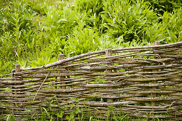 포토 JPG 해외이미지 식물 꽃 꽃무늬 채소 자연 종류 사람없음 목재 초록색 울타리 컬러풀 농장 환경 정원 봄 벚꽃 보호 약초 숲 허브 유기농 원예 내추럴 생태학 해외202004 해외포토 나무 웰빙 계절 교육 컬러 컨셉 무늬 농업 재료 취미 담장 풀_식물 생태계 파일형식 이미지허브