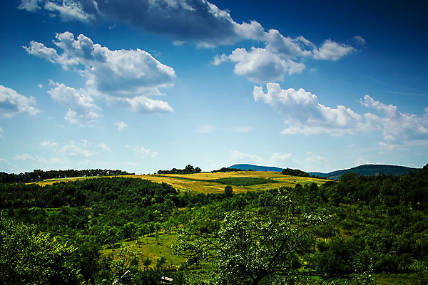 포토 JPG 해외이미지 나무 구름 유럽 지구 백그라운드 밭 자연 하늘 파노라마 풍경 사람없음 초록색 여름 파란색 햇빛 마을 계곡 맑음 일몰 자유 시골 신선 숲 땅 언덕 장면 내추럴 수평선 해외202004 해외포토 자연요소 식물 계절 나라 컬러 컨셉 농업 날씨 촬영기법 태양 노을 생태계 파일형식 이미지허브