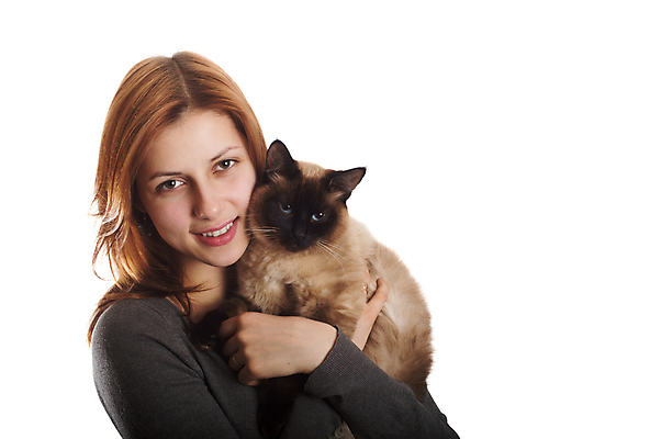 포토 JPG 해외이미지 동물 척추동물 여자 포유류 털 한명 반려동물 귀여움 고양이 우정 집중 만족 솜털 해외202004 해외포토 1 감정 컨셉 사람 친구 파일형식 이미지허브