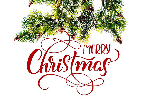 포토 JPG 해외이미지 백그라운드 크리스마스 일러스트 사람없음 축하 솔방울 솔잎 레터링 해외202004 해외포토 기념일 컨셉 잎 파일형식 이미지허브