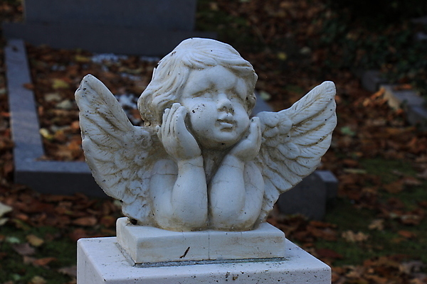 포토 JPG 해외이미지 종교 천사 사람없음 평화 기도 죽음 무덤 비석 묘사 신성 장례 해외202004 해외포토 컨셉 파일형식 이미지허브