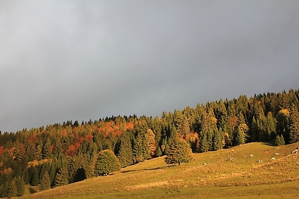 포토 JPG 해외이미지 식물 구름 계절 빵 백그라운드 농업 오렌지 모션 자연 하늘 파노라마 풍경 사람없음 빨간색 여름 파란색 농작물 햇빛 태양 노란색 일출 성경 일몰 수확 가을 시골 볏짚 신비 땅 자르기 밀 네덜란드 조경 보리 장면 뭉치 밀짚 폴란드 넘어짐 웅장함 수평선 해외202004 해외포토 자연요소 유럽 산업 음식 컬러 컨셉 과일 종교용품 곡류 촬영기법 노을 짚 생태계 파일형식 이미지허브