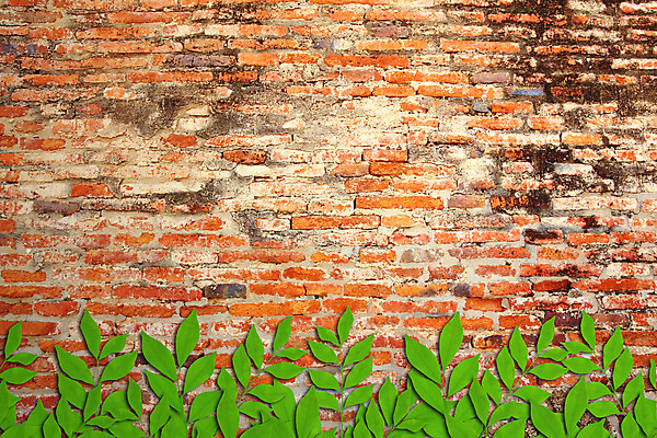 포토 JPG 해외이미지 나무 식물 디자인 외관 아시아 벽 여행 백그라운드 잎 패턴 건축양식 태국 벽지 표면 추상 벽돌 주택 동양인 사람없음 건물 빨간색 초록색 갈색 쌓기 힘 블록 덮개 사찰 거친 질감 뿌리 시멘트 고체 옛날 콘크리트 해외202004 해외포토 건축물 건축 나라 컬러 무늬 종교건축 모션 인종 뚜껑 파일형식 이미지허브