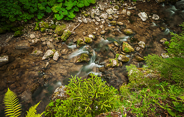 포토 JPG 해외이미지 식물 공원 야생동물 잎 자연 표면 이끼 풍경 사람없음 야외 초록색 물 여름 햇빛 갈색 평화 침묵 봄 폭포 젖음 흐름 가을 바위 개울 급류 연기 숲 장노출 내추럴 해외202004 해외포토 자연요소 동물 계절 공공시설 컬러 컨셉 촬영기법 강 태양 소리 돌_바위 생태계 파일형식 이미지허브