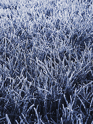 포토 JPG 해외이미지 도로 길 지구 백그라운드 겨울 패턴 밭 농업 자연 표면 바닥 사람없음 야외 파란색 새싹 냉동 얼음 추위 시골 칼날 닫기 묘사 질감 서리 땅바닥 총쏘기 억울 해외202004 해외포토 자연요소 식물 계절 감정 산업 컬러 무늬 교통시설 모션 생태계 파일형식 이미지허브