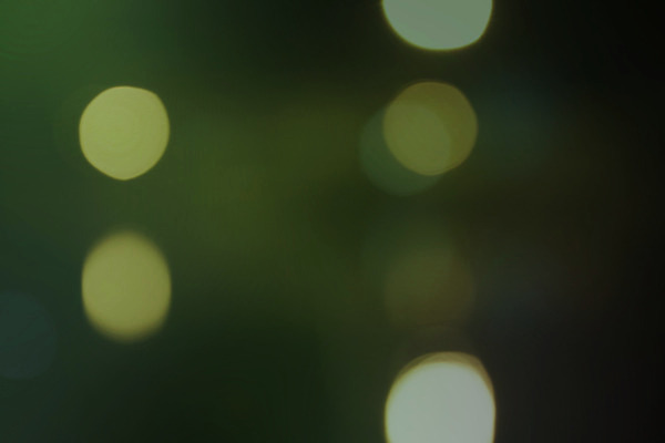 포토 JPG 해외이미지 식물 디자인 계절 공원 백그라운드 컨셉 잎 패턴 밭 자연 하늘 추상 부활절 미술 풍경 잔디 사람없음 아웃포커스 초록색 여름 빛 컬러풀 태양 정원 맑음 새벽 안개 신선 닫기 보케 내추럴 블러 효과 해외202004 해외포토 자연요소 공공시설 기념일 컬러 무늬 농업 모션 날씨 문화예술 촬영기법 생태계 파일형식 이미지허브