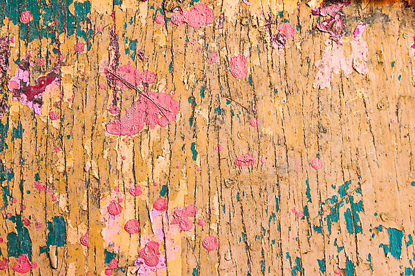 포토 JPG 해외이미지 디자인 벽 백그라운드 패턴 자연 추상 주택 건조 미술 사람없음 내부 건물 목재 울타리 컬러풀 노란색 문 페인트 수확 판넬 즐거움 질감 복고 잡동사니 내추럴 구식 수목 엘리먼트 옛날 카피스페이스 해외202004 해외포토 나무 건축물 감정 컬러 무늬 농업 재료 문화예술 담장 공백 생태계 파일형식 이미지허브