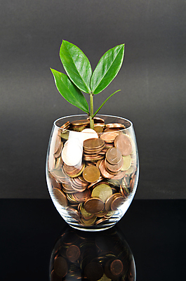 포토 JPG 해외이미지 돈 유리 사람없음 금융 경제 동전 검은색 어둠 저축 유로 성장 흰색 재산 오브젝트 투자 고립 연금 해외202004 해외포토 컬러 비즈니스 재질 파일형식 이미지허브