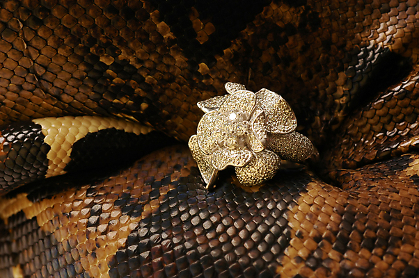 포토 JPG 해외이미지 동물 여자 조각 백그라운드 패턴 목걸이 파충류 자연 사람없음 빛 유행 핸드백 반지 독약 거친 뱀 고급 가죽 보석 피부 묘사 질감 생물학 클립 육식동물 다이아몬드 감싸기 동물상 이국적 해외202004 해외포토 교육 컨셉 무늬 가방 장신구 모션 사람 신체부위 조형물 광석 생태계 파일형식 이미지허브