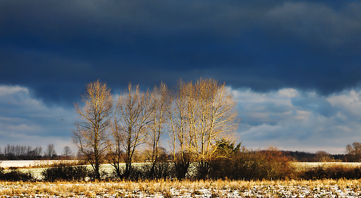 포토 JPG 해외이미지 나무 식물 구름 계절 실루엣 도로 음식 빵 줄기 밭 농업 오렌지 자연 하늘 덴마크 옥수수 씨앗 풍경 사람없음 야외 빨간색 여름 파란색 컬러풀 햇빛 태양 농장 농경지 노란색 환경 일몰 봄 수확 성장 가을 시골 황금 낟알 시리얼 밀 서리 보리 장면 밀짚 내추럴 밭일 숙성 호밀 수평선 해외202004 해외포토 자연요소 산업 길 컬러 과일 교통시설 곡류 촬영기법 북유럽 노을 짚 생태계 파일형식 이미지허브