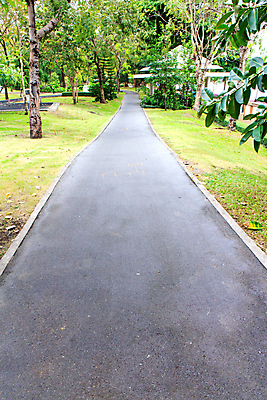 포토 JPG 해외이미지 나무 구름 공원 여자 도로 길 스포츠 여행 밭 자국 자연 하늘 사람 풍경 사람없음 야외 초록색 물 여름 파란색 강 자전거 미국 폭포 화물 시골 승차 숲 헬멧 큼 가난 먼지 장면 멀리 내추럴 바이킹 접기 해외202004 해외포토 자연요소 식물 계절 공공시설 컬러 컨셉 북아메리카 농업 교통시설 모션 바이크 운송업 보호장비 크기 생태계 파일형식 이미지허브