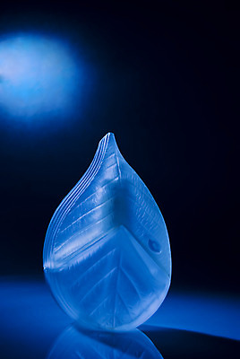 포토 JPG 해외이미지 스튜디오촬영 잎 사람없음 세로 파란색 컬러풀 화장품 향수 향기 정물화 해외202004 해외포토 식물 컬러 실내 뷰티 그림 냄새 파일형식 이미지허브