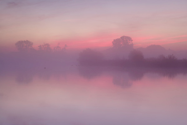 포토 JPG 해외이미지 나무 구름 실루엣 호수 분홍색 백그라운드 자연 조류 하늘 표면 아침 오리 풍경 사람없음 야외 빨간색 물 반사 일출 침묵 고요 일몰 안개 시골 속도 네덜란드 해외202004 해외포토 주간 자연요소 식물 동물 유럽 컬러 날씨 촬영기법 노을 소리 생태계 파일형식 이미지허브
