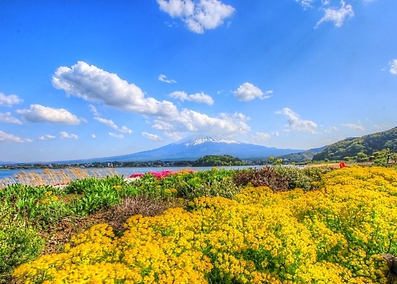 포토 JPG 해외이미지 식물 구름 공원 잎 자연 하늘 휴식 산 풍경 사람없음 컬러풀 활발 가을 신선 파란배경 자연백그라운드 해외202004 해외포토 자연요소 계절 공공시설 컬러 백그라운드 컨셉 파란색 생태계 파일형식 이미지허브