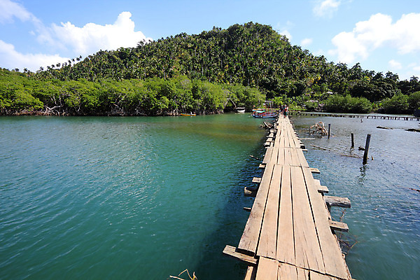 포토 JPG 해외이미지 나무 공원 섬 여행 자연 하늘 휴가 손바닥 풍경 사람없음 물 파란색 강 숲 언덕 쿠바 내추럴 이국적 전국 해외202004 해외포토 자연요소 식물 손 공공시설 컬러 중앙아메리카 생태계 파일형식 이미지허브