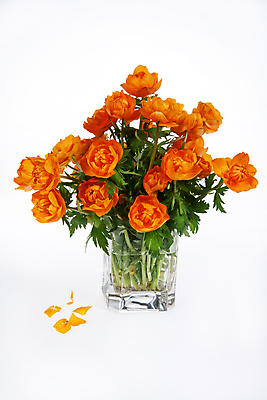 포토 JPG 해외이미지 디자인 꽃 문화 꽃다발 백그라운드 잎 자연 미술 사람없음 장식 빨간색 초록색 흰색 화려 닫기 꽃집 고립 구성 해외202004 해외포토 식물 컬러 컨셉 모션 문화예술 상점 생태계 파일형식 이미지허브