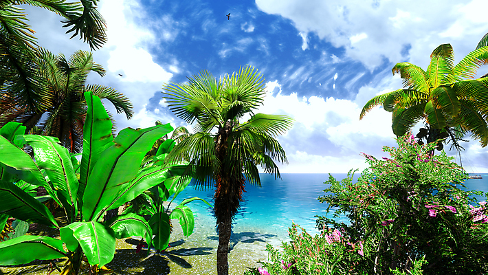 포토 JPG 해외이미지 나무 구름 모래 바다 섬 여행 자연 하늘 휴가 따뜻함 손바닥 풍경 사람없음 물 여름 파란색 빛 맑음 침묵 서핑 휴양지 하와이 태평양 이국적 터키석 파라다이스 해외202004 해외포토 자연요소 식물 손 계절 컬러 날씨 미국 소리 장소 수상스포츠 보석 생태계 파일형식 이미지허브