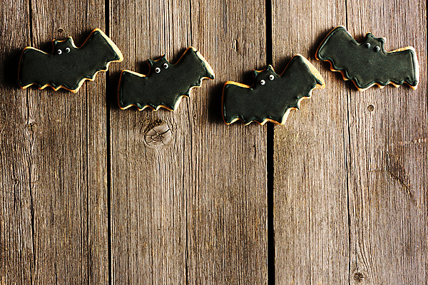 포토 JPG 해외이미지 백그라운드 탁자 디저트 사람없음 장식 쿠키 할로윈 달콤 박쥐 핸드메이드 해외202004 해외포토 음식 가구 포유류 맛 파일형식 이미지허브